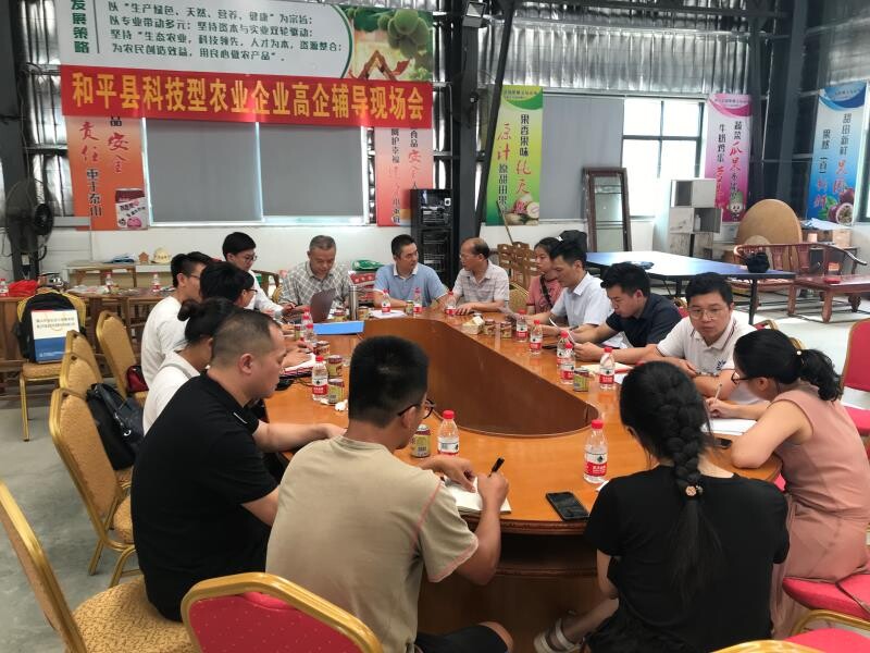 10期）——推动树标提质，助力高企发展（ 和平县举办高新技术企业树标提质行动活动周）_4